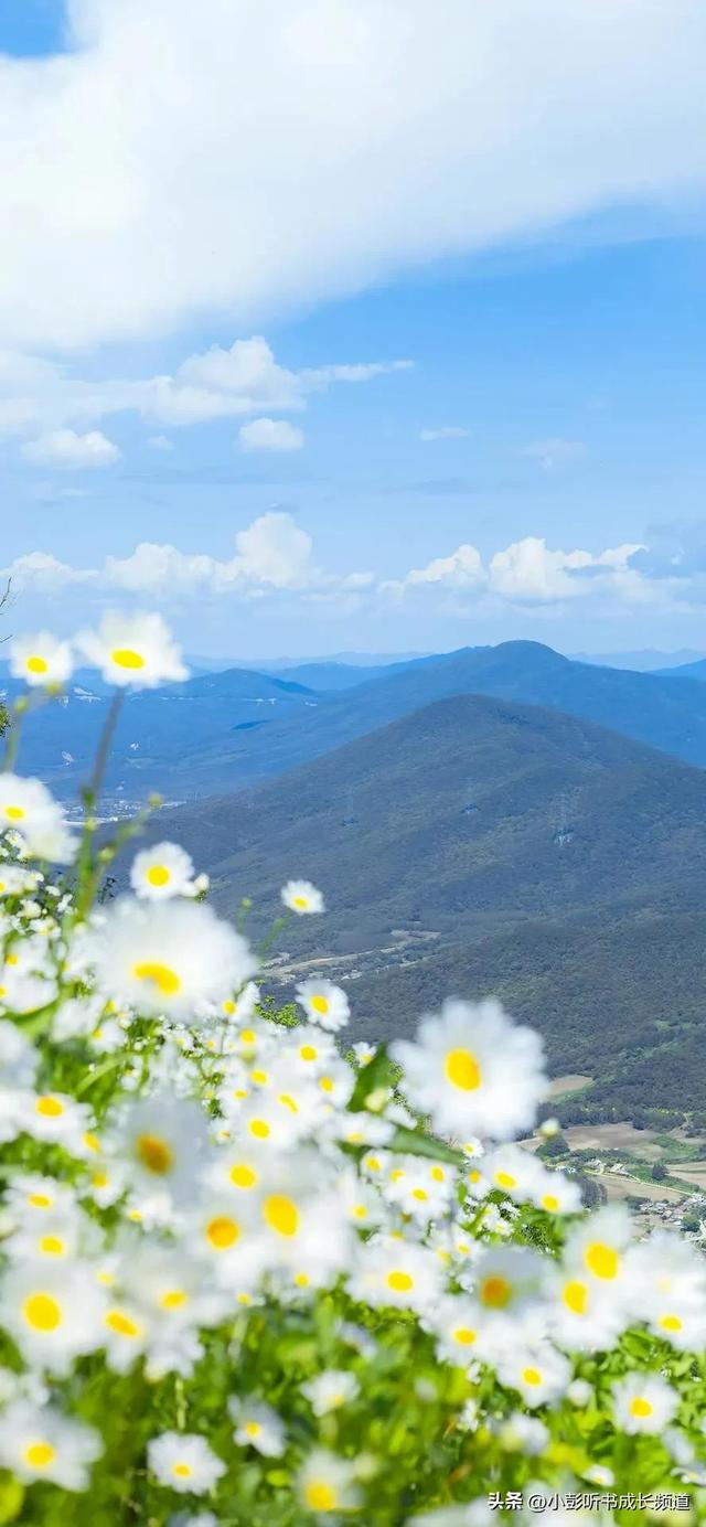 十二星座的真正性格，十二星座的性格脾气（十二星座各自的性格解析）
