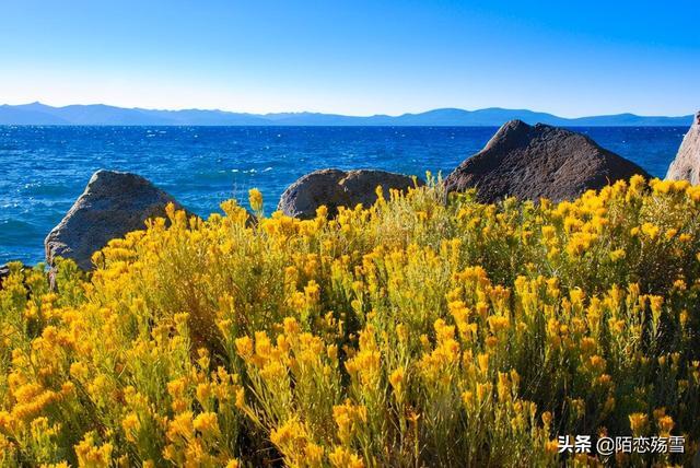 殇雪是什么意思，殇雪 云菲菲原唱（风景依然在，人已非少年）
