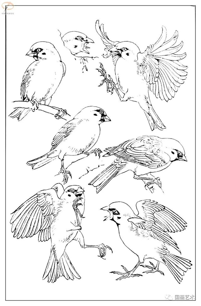 火的简笔画图片，火焰怎么画简笔画图片（画鸟参考——白描麻雀百图）