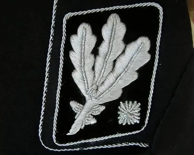 三星两杠什么军衔，关于军衔等级介绍（二战德国党卫军军衔简介）