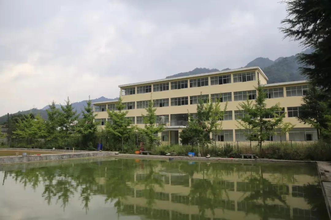 淘宝司法拍卖网(阿里巴巴司法拍卖房产网)
