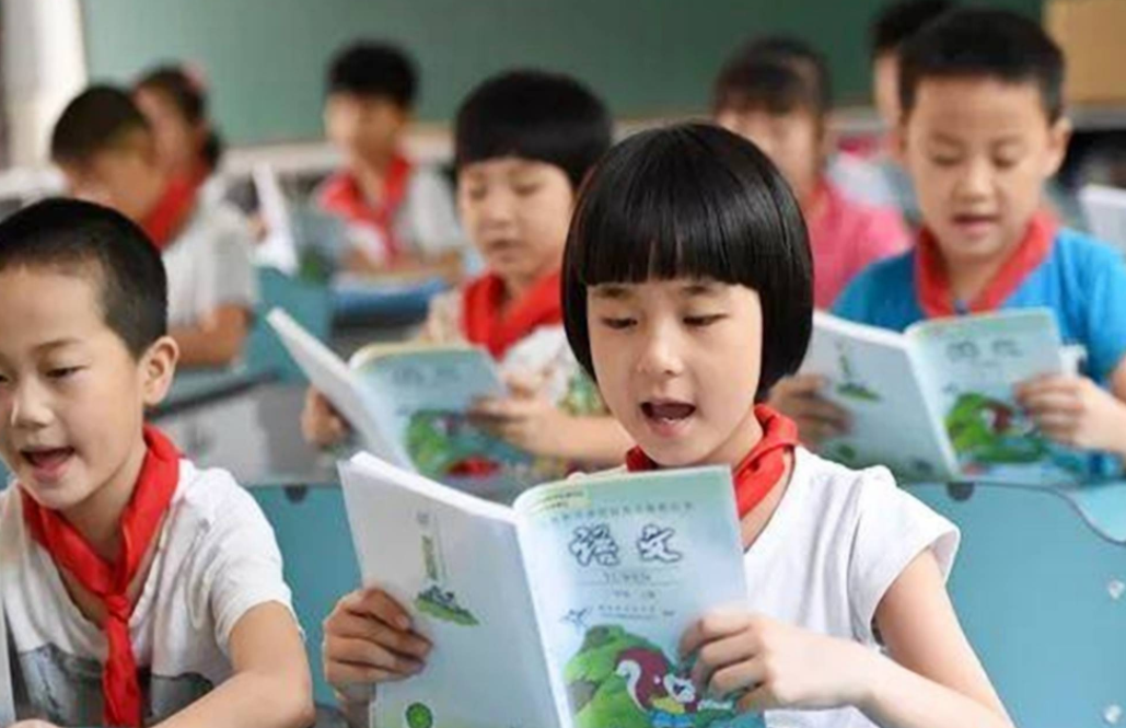 学校内卷（中小学生的）