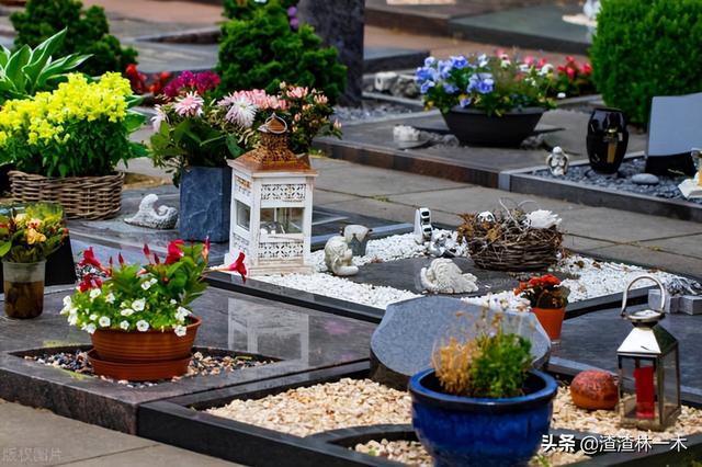 假死一般持续多久，兔子假死时间维持多久（美国殡仪馆男子睡着被推入火化炉）