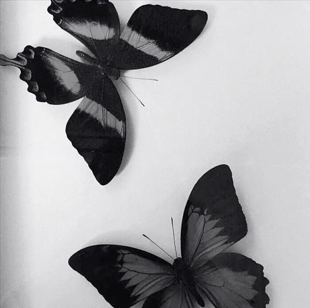 背景图 | ins风背景图精选 喜欢收藏,背景图片简约(一眼就爱上的ins风