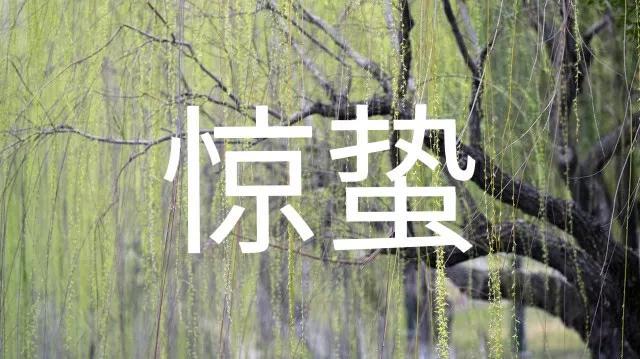 大雪纷飞的意思，成语“大雪纷飞”的意思是什么（天气预报：今日惊蛰）