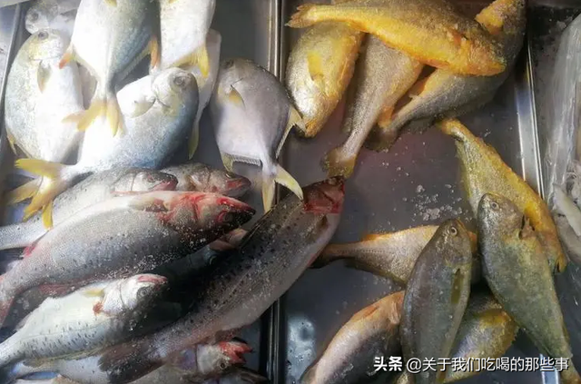 海鱼大集合，认识美味海鱼（这4种是野生海鱼）