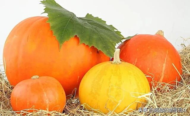 为什么没有北瓜，为什么有冬瓜西瓜南瓜没有北瓜（才知祖宗智慧真高明）