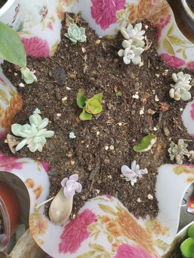 有哪些好听的网名，好看又好听的网名400个（都是些什么名字呢）