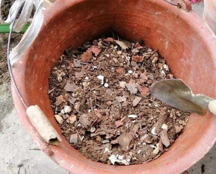 花肥用什么肥料好，养花用什么肥料（家里“5种”东西）