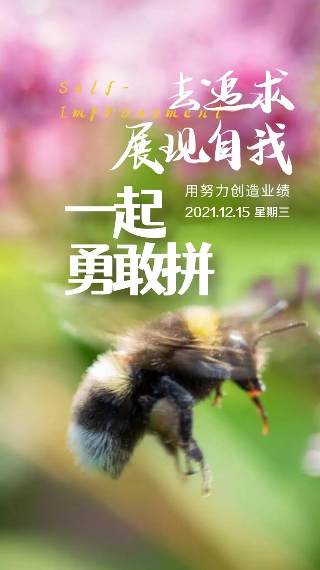 励志早安心语正能量，每天励志正能量早安语（正能量生活语录句子）