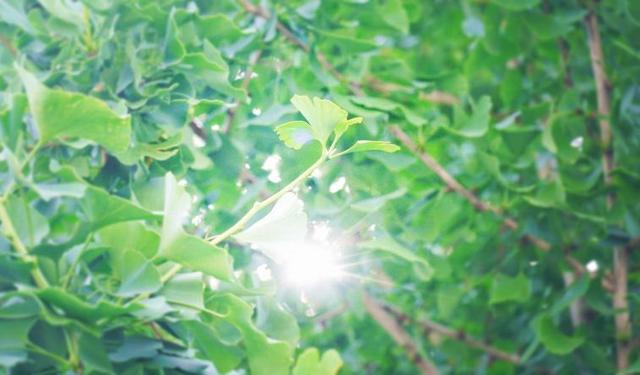 草木蔓发春山可望什么意思，“草木蔓发,春山可望”（最是一年春好时）