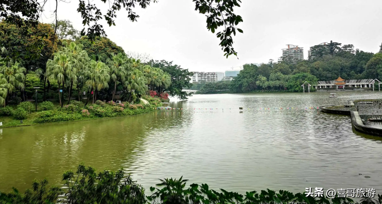 江门市蓬江区(江门市蓬江区地图高清版最新)