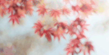 二十四节气 秋天，秋分