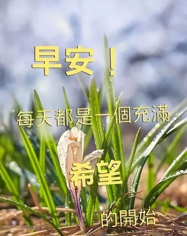 那句愿你安好和祝你幸福都是真的，心痛也是真的。，愿你幸福安好的句子（2022最新早上好祝福图片温馨带字）