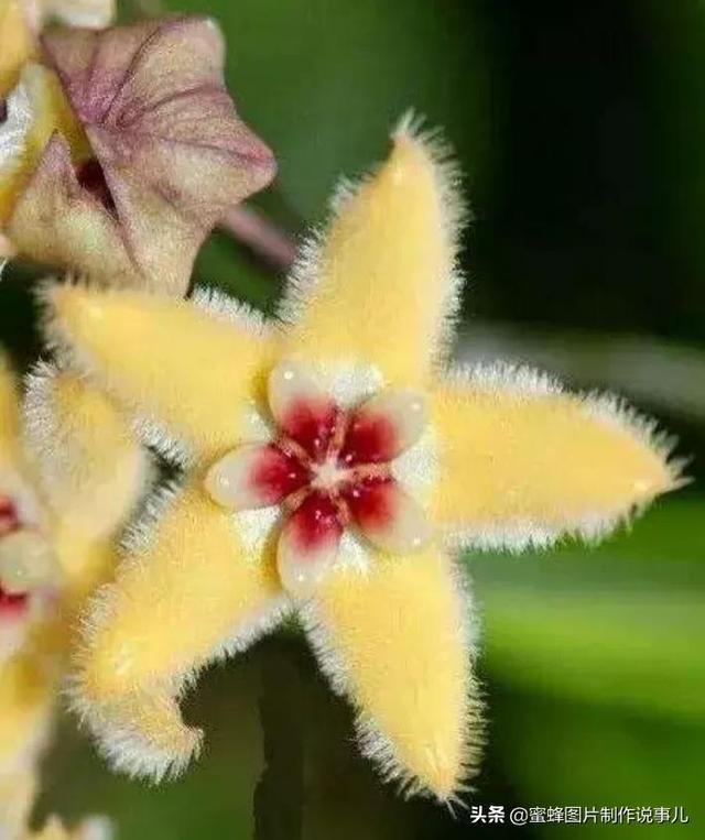 美图，可做壁纸，可以做壁纸的图片 唯美（愿你的生活像花一样灿烂）