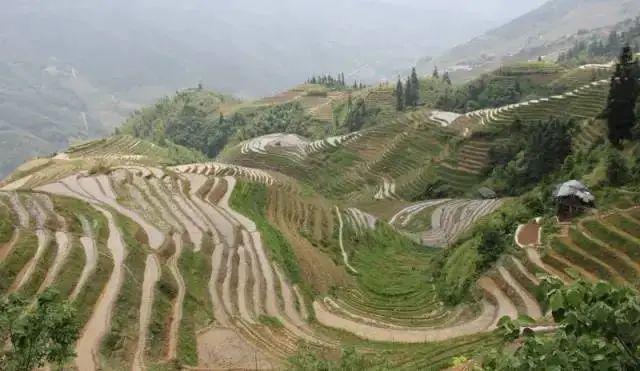 ps怎么替换局部颜色，ps颜色替换（4种超好用的PS调色小技巧）