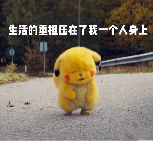 遛狗的经典句子，抖音最火圣诞节经典句子（聊天常用的沙雕歇后语）