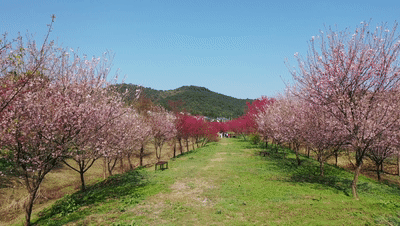 长沙自驾游攻略，长沙旅游攻略最佳路线推荐自驾游（藏在长沙近郊的“大观园”）