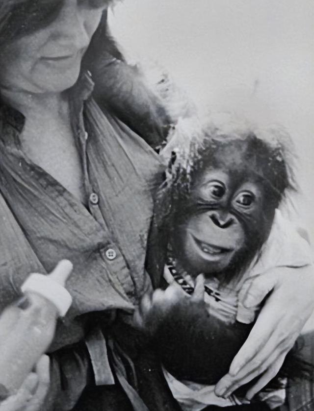 多妈简笔画叠起来的被子，儿童简笔画叠被子（试图成为人类却被囚禁30年）