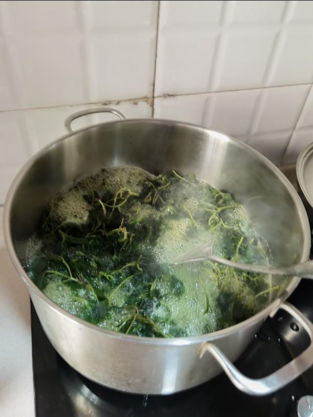 白凉粉在超市叫什么，哪里有卖白凉粉的（分享：粤西高州新鲜凉粉）