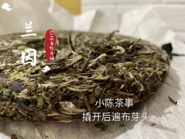 白茶和老白茶的区别是什么，老白茶和白茶一样吗（再也不怕受骗上当了）