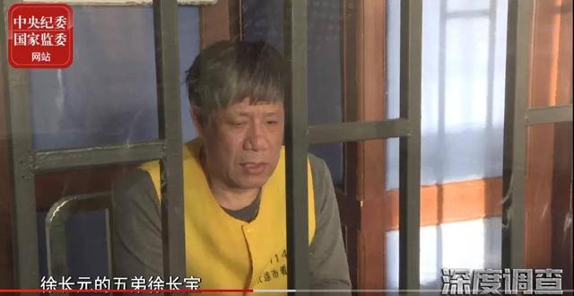 曲婉婷母亲案哪一年，贪官母亲急用钱减刑