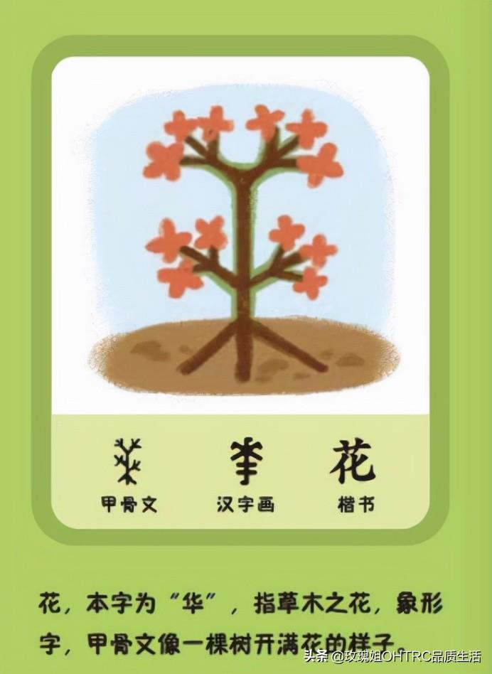 植物有关的字 与植物有关的汉字 百花控
