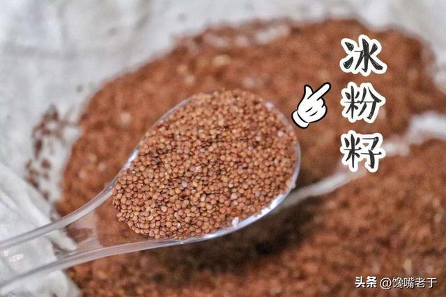 冰粉籽是什么植物，薜荔果怎么做凉粉（网友：不到天亮不回家）