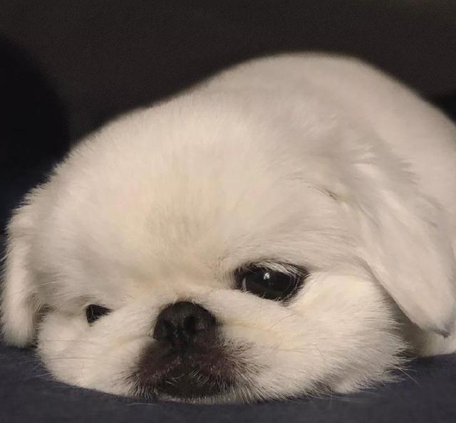 2022好听又内涵的繁体字个性签名 失去总比拥有来得快，2022好听又内涵的繁体字个性签名（2022朋友圈一句话经典文案）