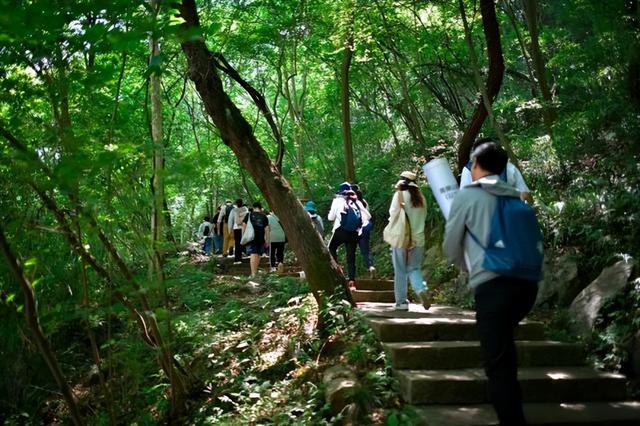 苏堤的由来， 这场山水间的文化体验之旅揭秘不为人知的千年城市历史