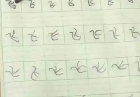 什么是象形字，衣为什么是象形字（男孩练字写出“象形文字”）