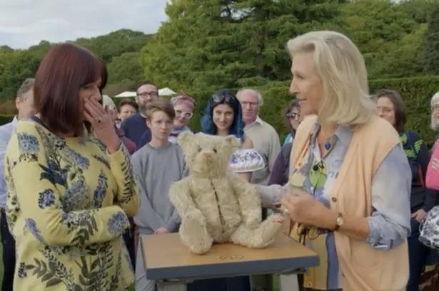 泰迪熊犬价格，小泰迪熊犬的价格（1948年她用63元购买了一只玩具熊）