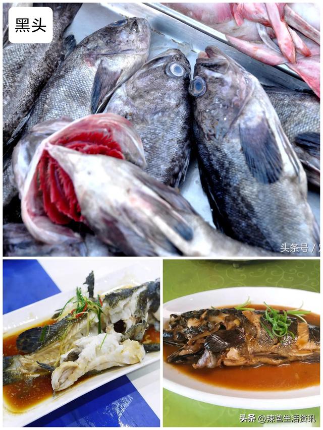 海鱼的做法大全，五种海鱼的美味做法（8种宴席“镇桌主菜”的海鱼）