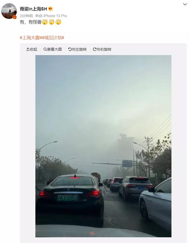 上海浦东机场大雾，上海两机场低能见度天气过程统计分析及原因探究（今天上海的雾为什么这么大）