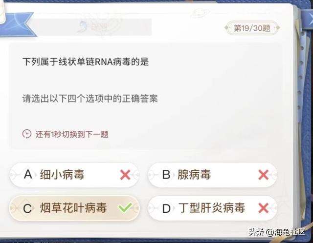 最大的海湾在哪里，中国最大的海湾在哪里（巽风答题正确答案整理）