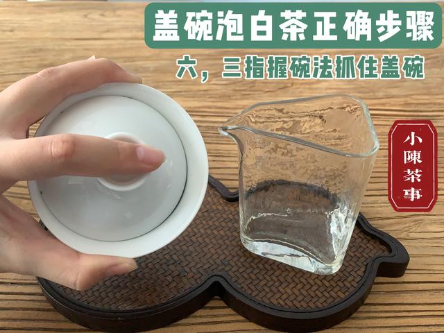 茶道入门泡茶顺序，茶道入门茶道基本步骤（教你用最少的时间从菜鸟到高手）