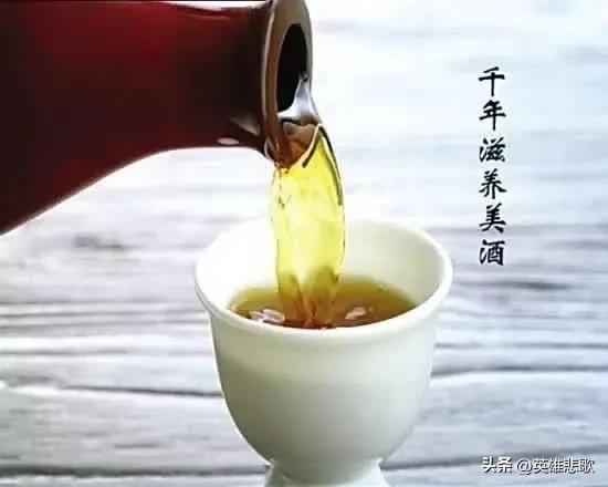 孟夫子指的是谁，孟夫子指的哪个动物（鲁迅在咸亨酒店做过学徒吗）