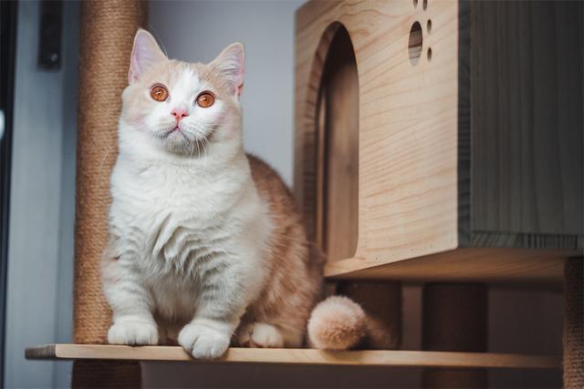 被欺负了怎么办，被人欺负怎么办（职场中，被领导欺负该怎么办）