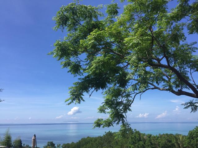 菲律宾薄荷岛游玩攻略华人，菲律宾薄荷岛第一天
