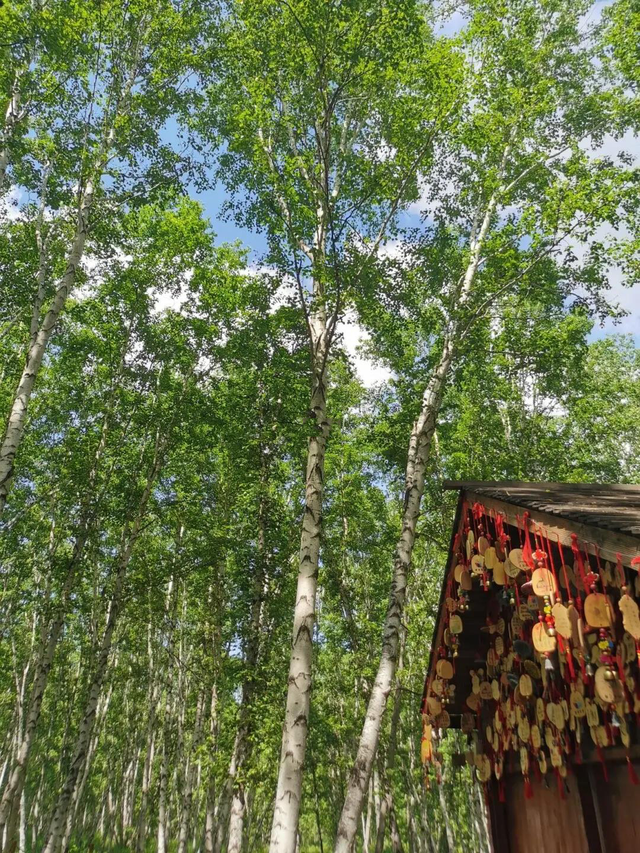 最浪漫的地方，国内浪漫的旅游地方（国内最浪漫的10个甜蜜旅行圣地）