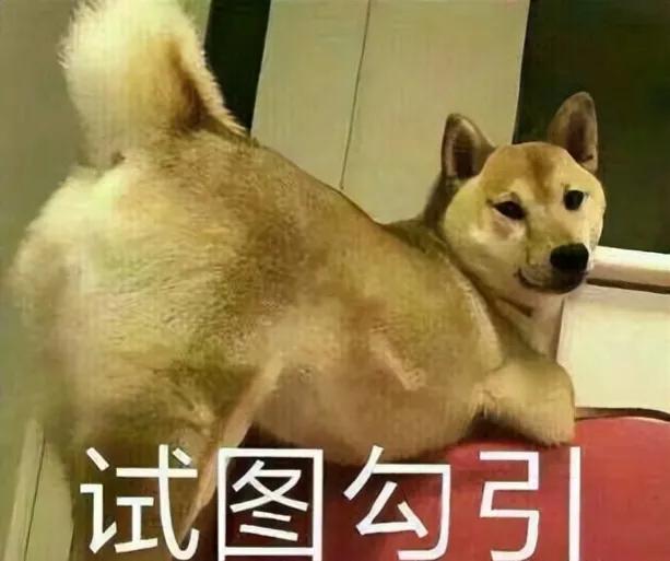 微商的引流方法(引流客户的最快方法是什么)