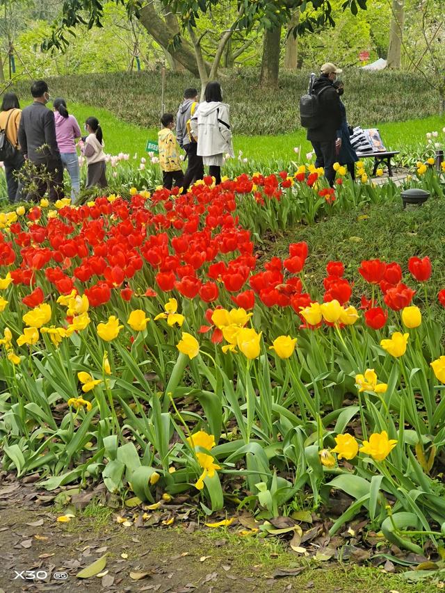 阎淑萍：学前教育立法能否治理幼儿园教育小学化，阎淑萍潘长江过河（一张婚纱照<周勇>）