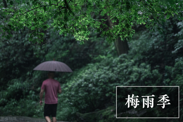 梅雨季节饮食注意事项，梅雨季节 饮食（老人讲：“梅雨季吃3宝）