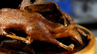 大雁和鹅的区别，大雁和鹅的区别是什么（鹅的真实面貌超出大家的想象）