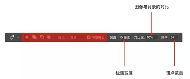 套索工具怎么抠图，如何利用Photoshop的套索工具抠图（保姆级抠图教程1）
