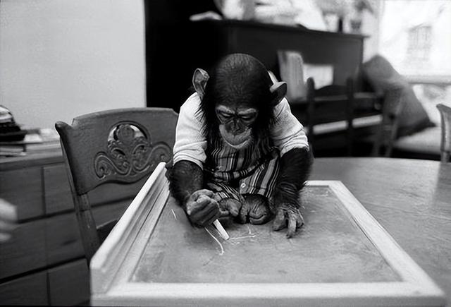 多妈简笔画叠起来的被子，儿童简笔画叠被子（试图成为人类却被囚禁30年）