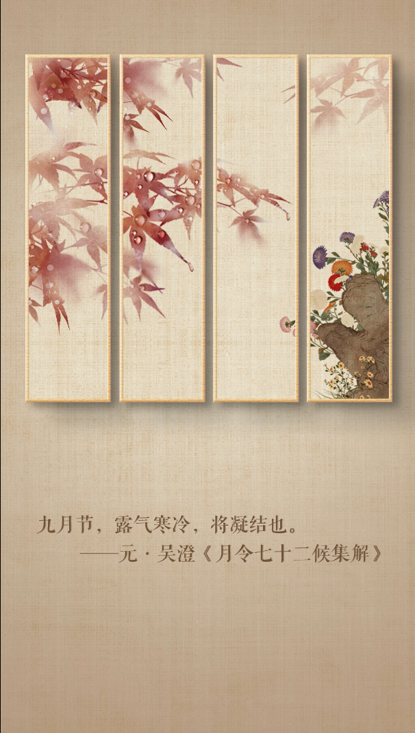 寒露是什么意思，人间好时节丨寒露