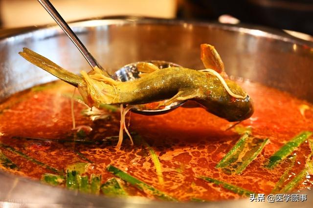 凯里酸汤鱼的做法，正宗凯里酸汤鱼的做法（贵州酸汤鱼的酸汤做法）