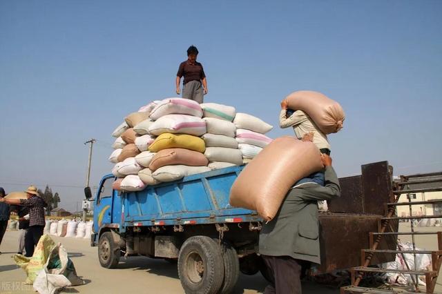 闯荡江湖电视剧全集免费观看，闯荡江湖的动物（第5章 闯荡江湖）