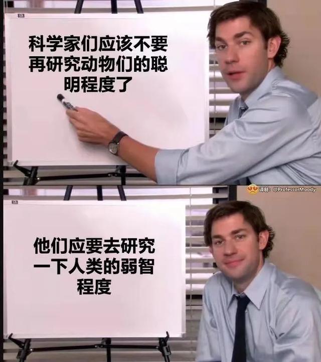其实你爱我像谁，其实你爱我像谁是什么歌歌词是什么意思（同事通关了《羊了个羊》）